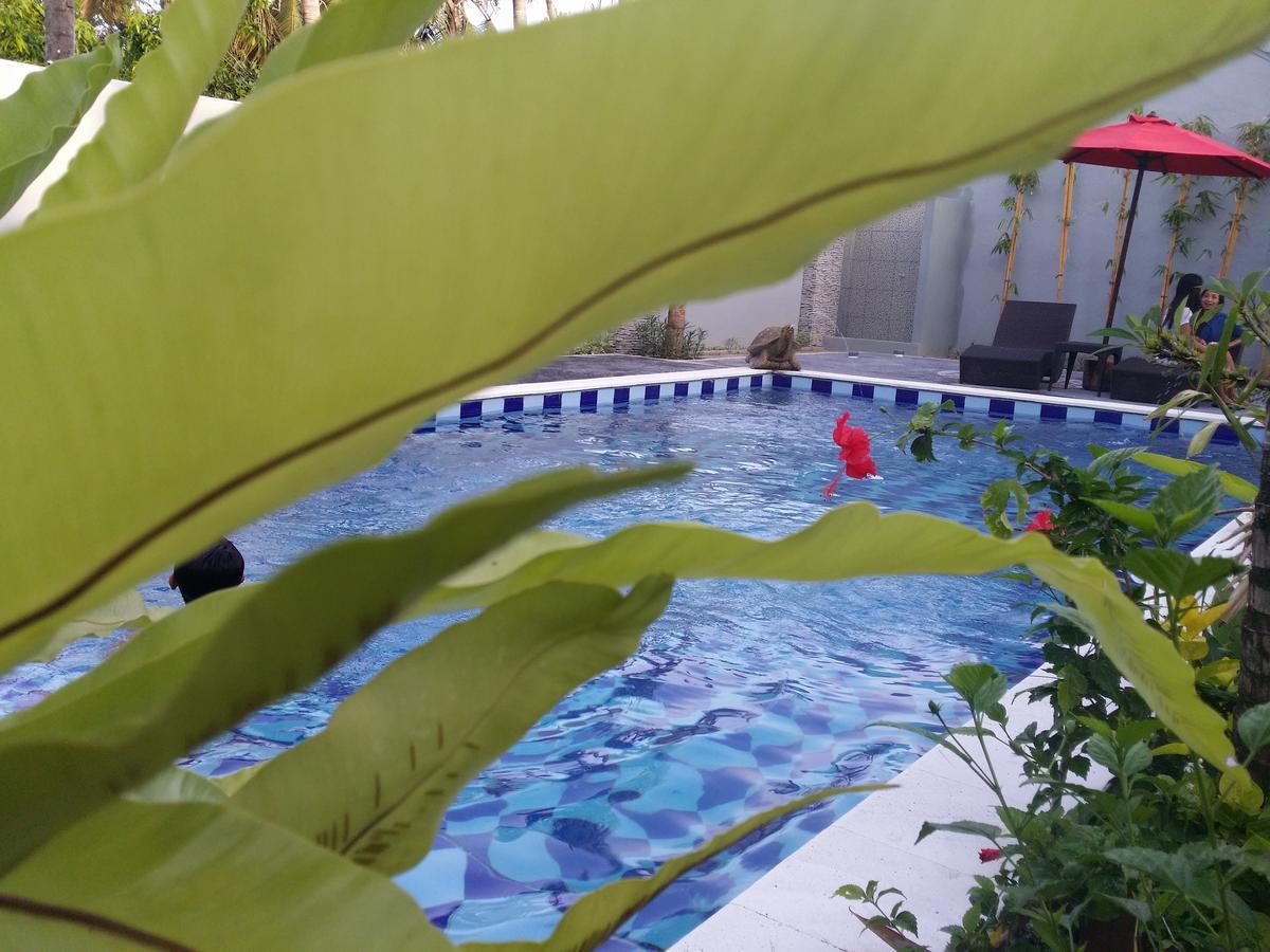 Hotel Palm Bamboo