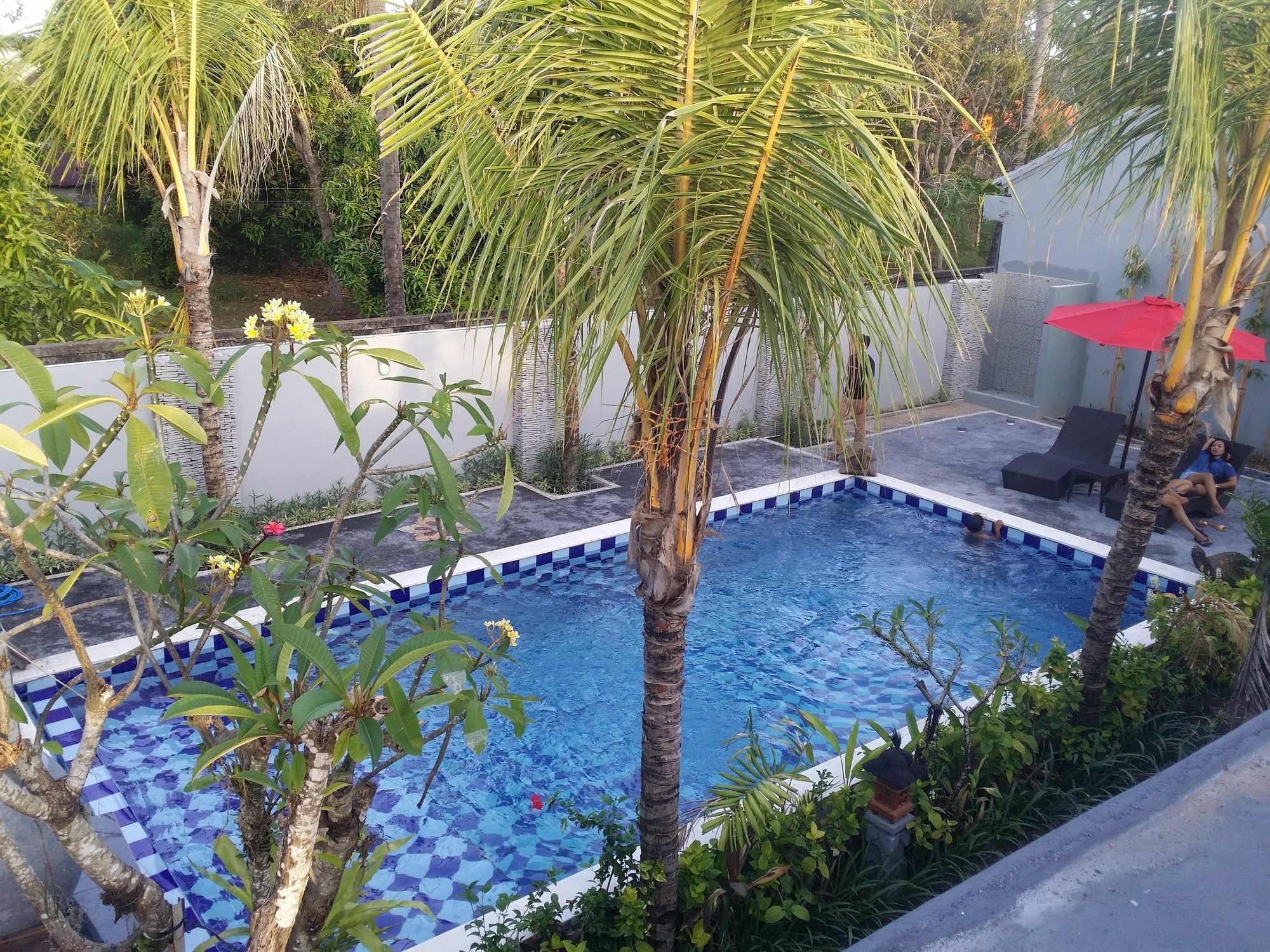 Hotel Palm Bamboo